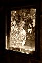 IMG_1903 copy